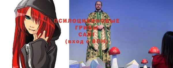 герыч Алексин
