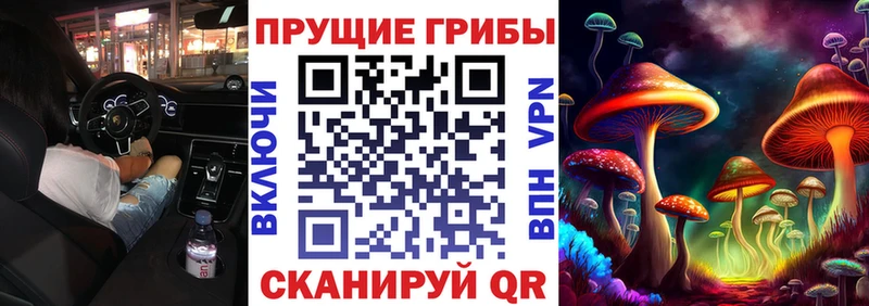 Галлюциногенные грибы Psilocybine cubensis  blacksprut рабочий сайт  Жирновск 
